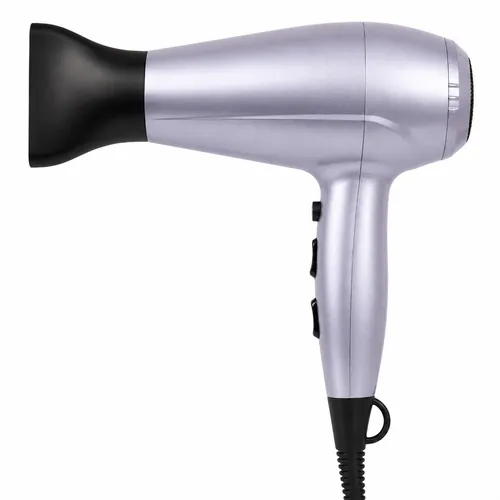 Professional Hair Dryers