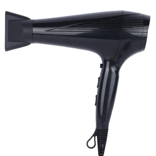 Professional Hair Dryers