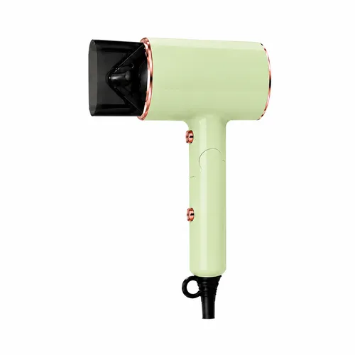 Professional Hair Dryers (1800W+)