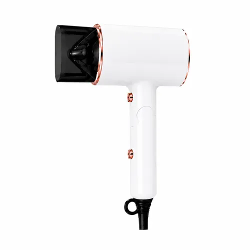 Professional Hair Dryers (1800W+)