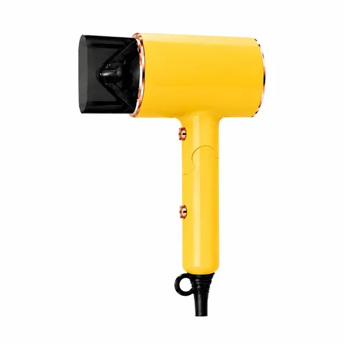 Professional Hair Dryers (1800W+)